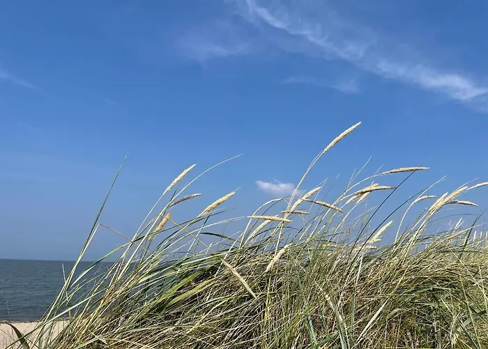 Διαμέρισμα 49 4 N Nordkoje *